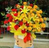 dich-vu-hoa-andy-gia-re-o-hem-184/16-le-dinh-can-binh-tan - ảnh nhỏ  1