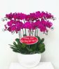 mien-phi-giao-hoa-dep-uy-tin-hem-189/1-duong-so-5-go-vap - ảnh nhỏ  1