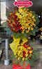 shop-hoa-andyflorist-gia-re-ship-hem-184/38/31/11-au-duong-lan-quan-8 - ảnh nhỏ  1