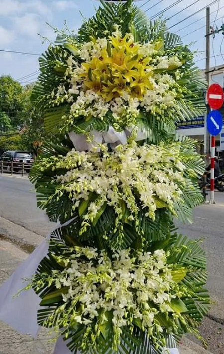 Hoa Tang Lễ - V1112