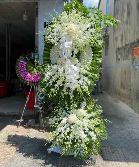 Hoa Tang Lễ - V1131