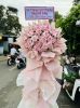 adf796-hoa-hong-trang-vien-hong - ảnh nhỏ  1