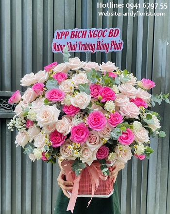 ADF1657 - Lãng Hồng Khai trương