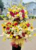 dich-vu-hoa-re-dep-o-duong-chan-hung-tan-binh - ảnh nhỏ  1