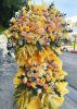 dich-vu-hoa-re-dep-tai-hem-108-nguyen-thien-thuat-quan-3 - ảnh nhỏ  1