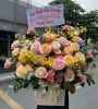 dich-vu-hoa-andyflorist-tai-hem-1247/100-quan-7 - ảnh nhỏ  1