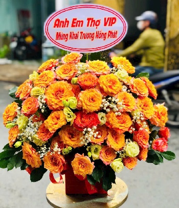 Freeship hoa uy tín Hẻm 127/49 Lê Thúc Hoạch, Tân Phú