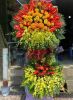 freeship-hoa-uy-tin-hem-128-pham-van-hai-tan-binh - ảnh nhỏ  1